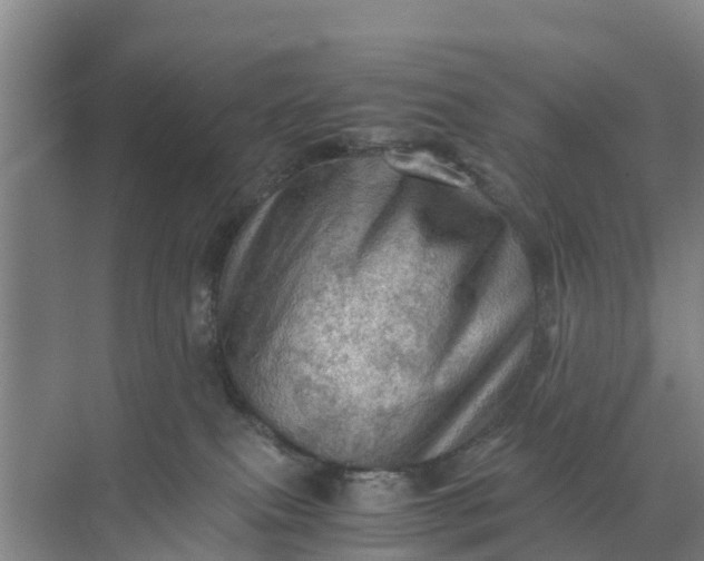 X0000071760087200607150013