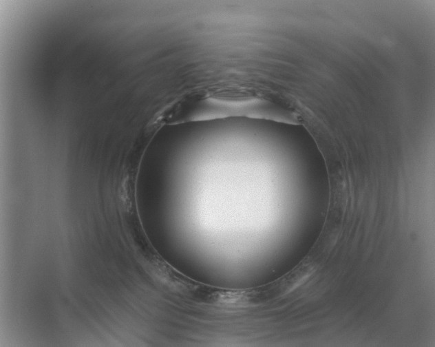 X0000071760088200607150013