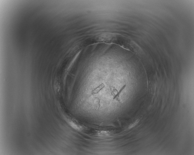 X0000071760091200607150013