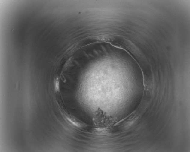 X0000071760095200607150013