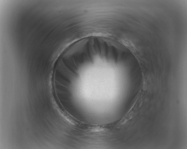 X0000071760098200607150013