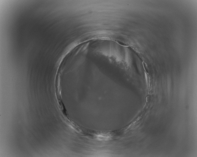 X0000071760099200607150013