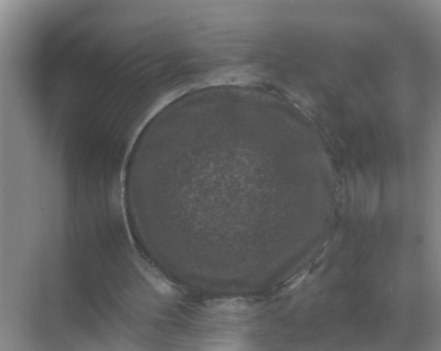 X0000071760100200607150013