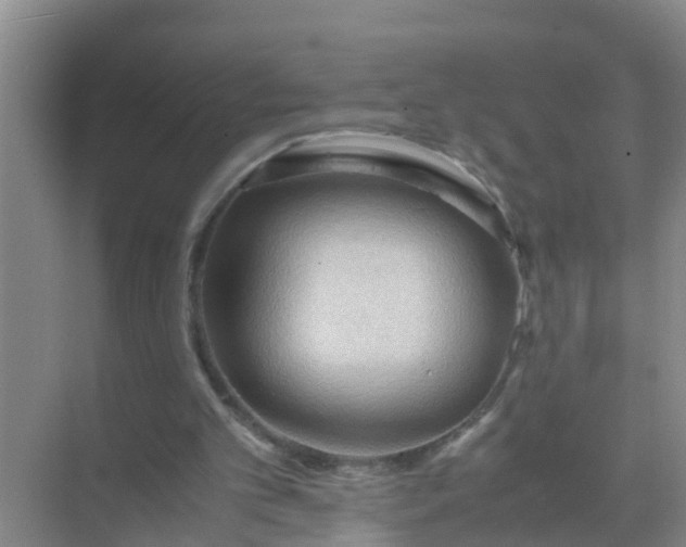 X0000071760101200607150013