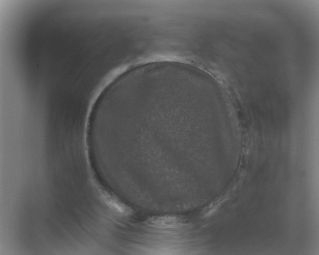 X0000071760104200607150013