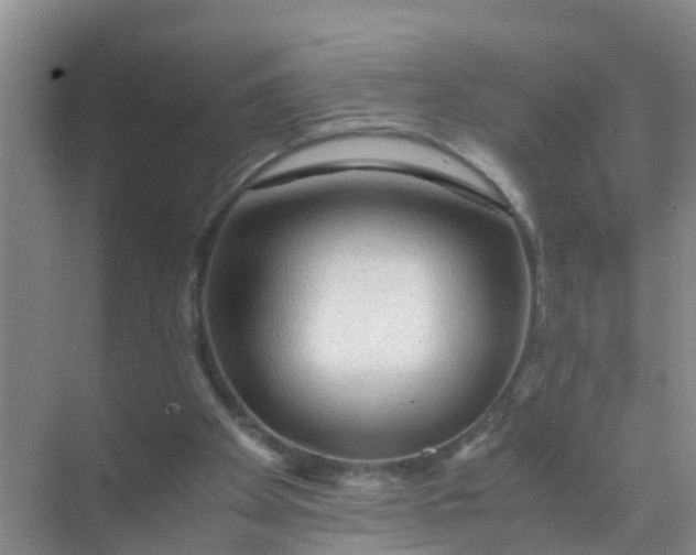 X0000071760105200607150013