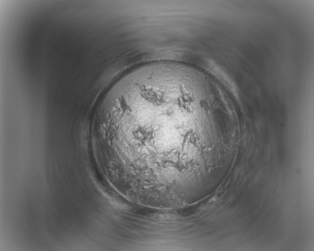 X0000071760107200607150013