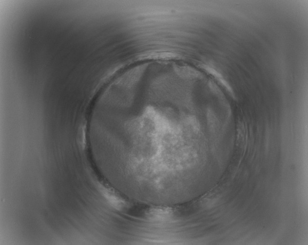 X0000071760110200607150012