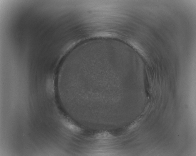 X0000071760112200607150012