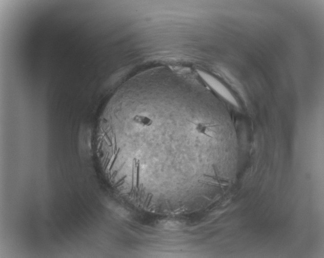 X0000071760115200607150012