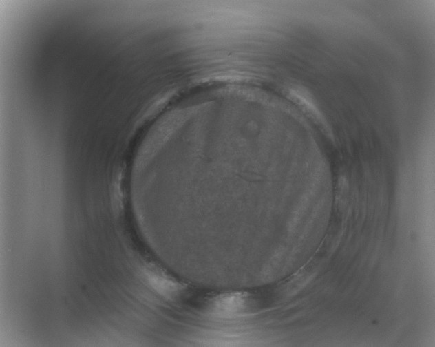 X0000071760116200607150012