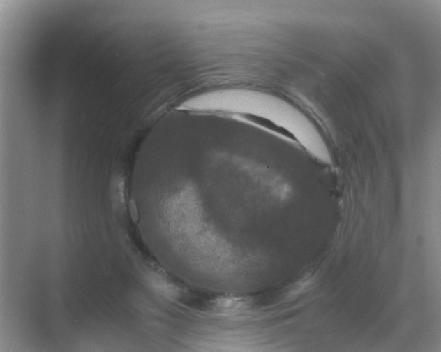 X0000071760117200607150012