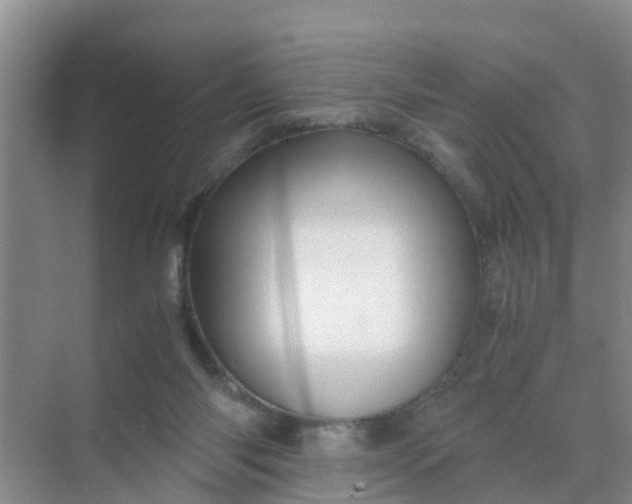 X0000071760118200607150012