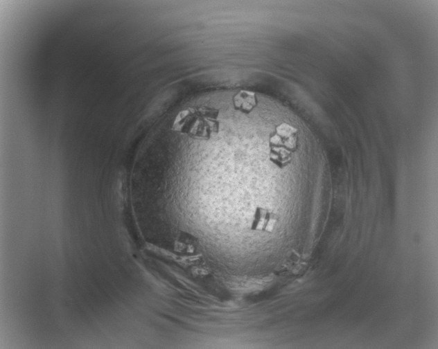 X0000071760119200607150012