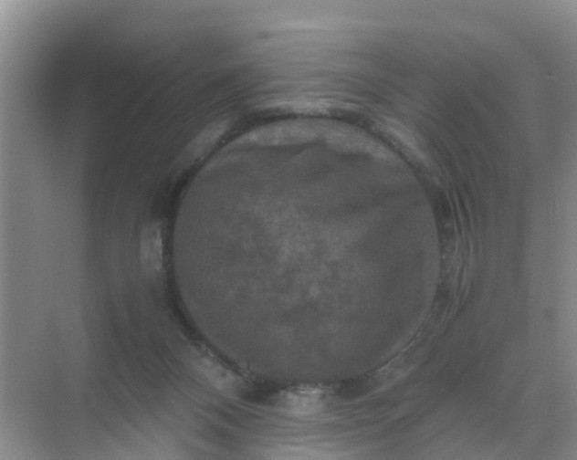 X0000071760120200607150012