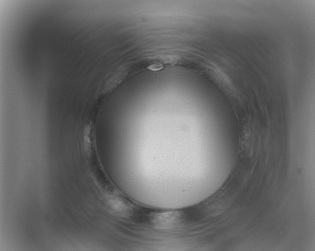 X0000071760122200607150012