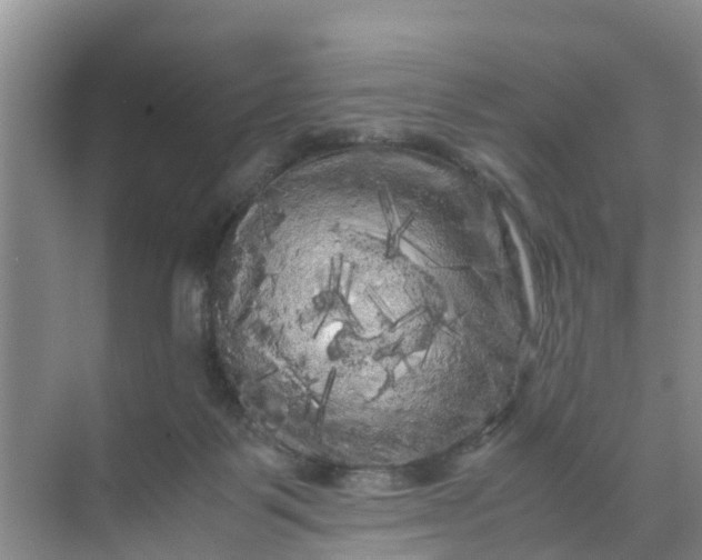 X0000071760123200607150012