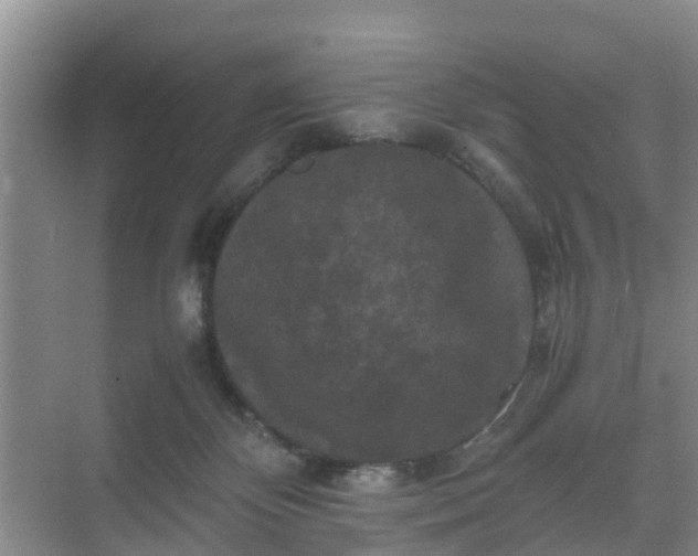 X0000071760124200607150012