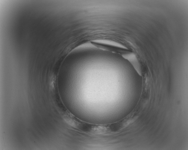 X0000071760125200607150012