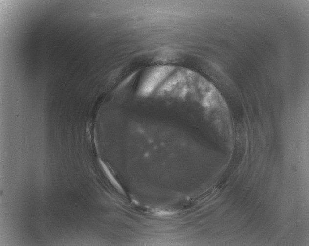 X0000071760127200607150012