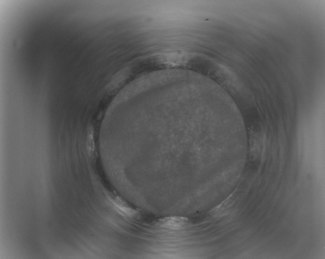 X0000071760128200607150012