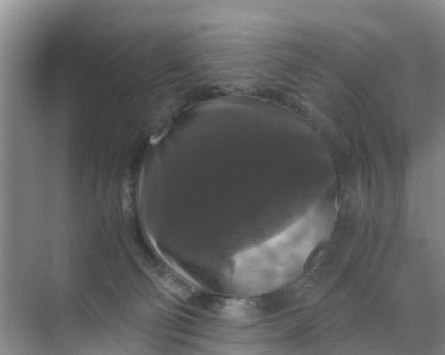 X0000071760130200607150012