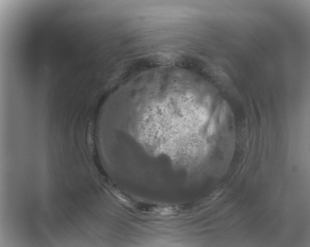 X0000071760131200607150012