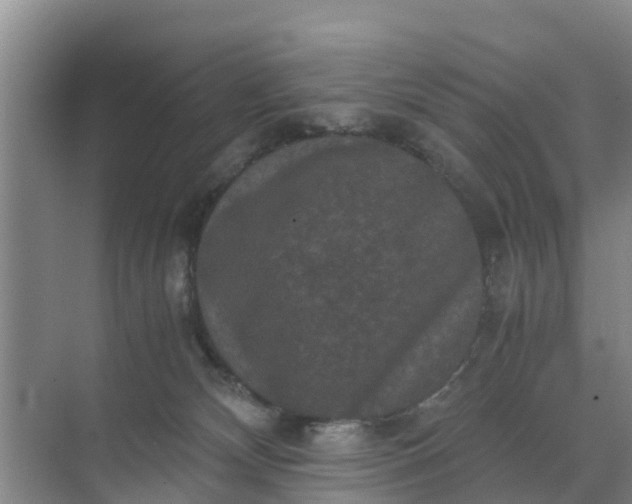 X0000071760132200607150012