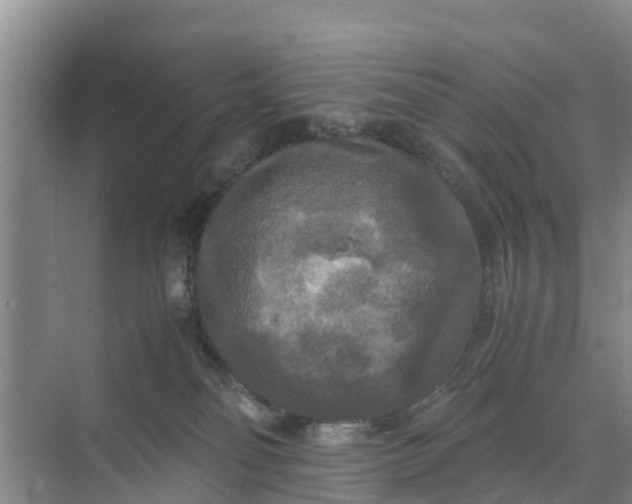 X0000071760134200607150012