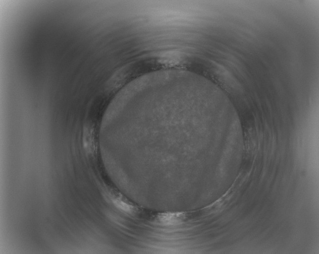 X0000071760136200607150012