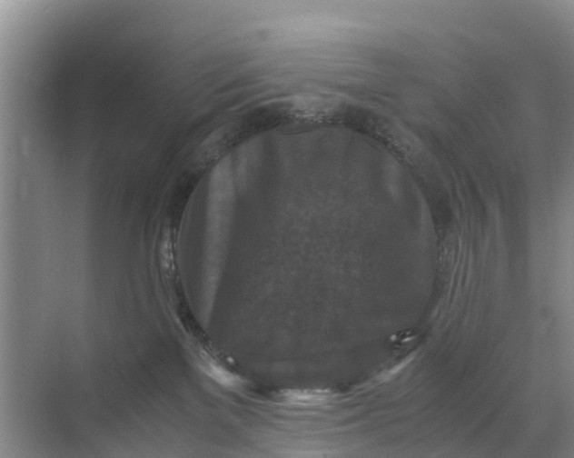 X0000071760137200607150012