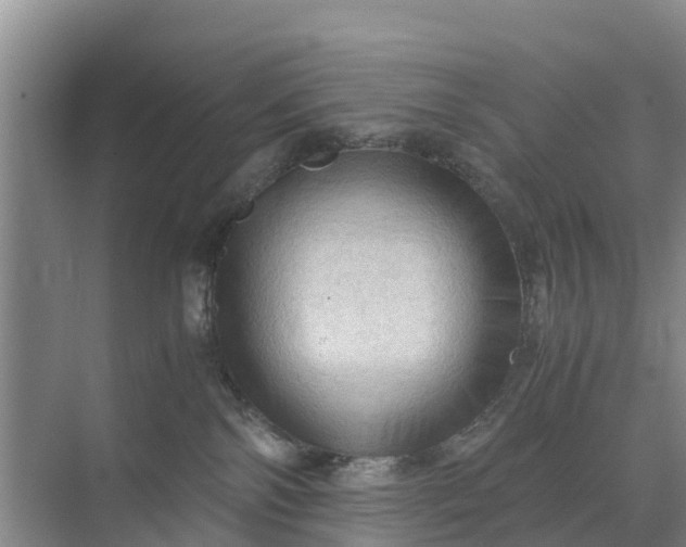 X0000071760138200607150012