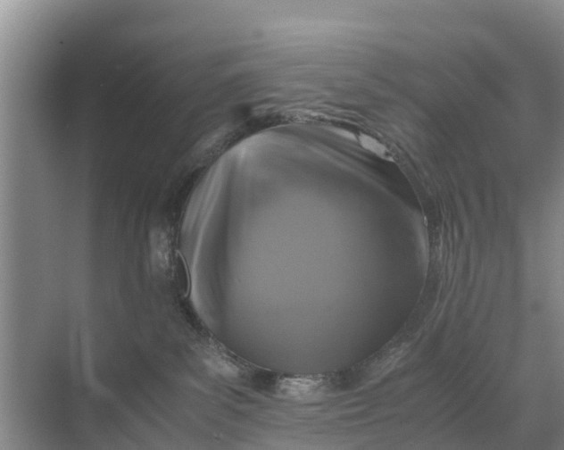 X0000071760139200607150012