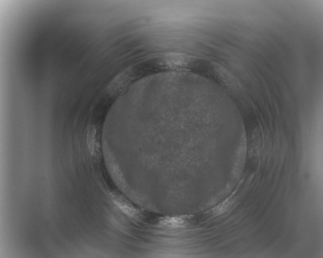 X0000071760140200607150012