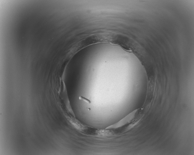 X0000071760141200607150012