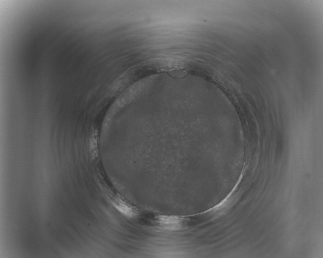 X0000071760144200607150012