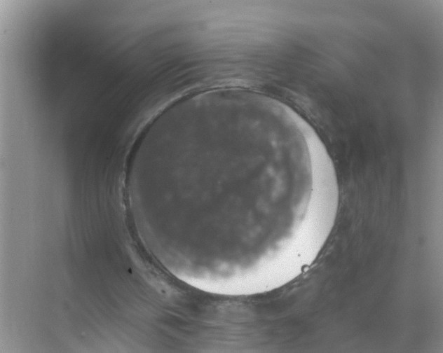 X0000071760146200607150011