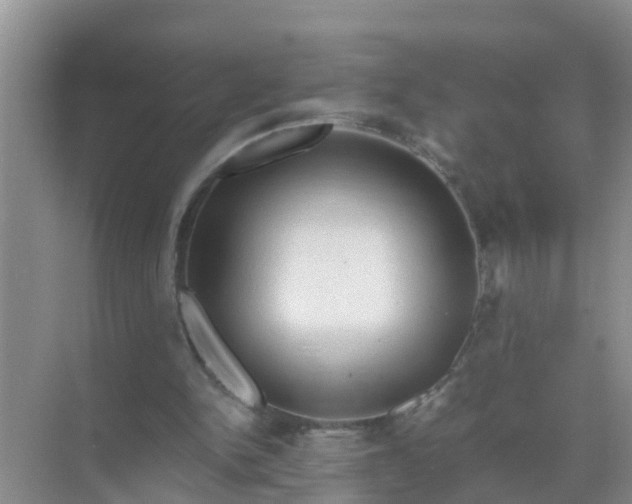 X0000071760150200607150011