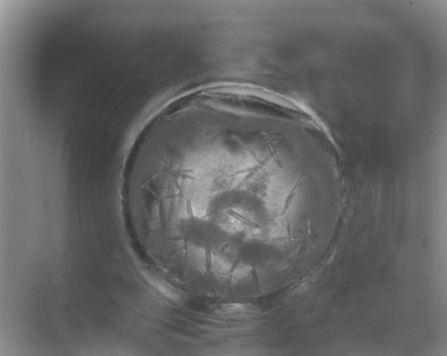 X0000071760151200607150011