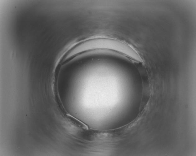 X0000071760152200607150011