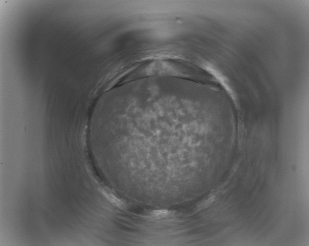 X0000071760153200607150011