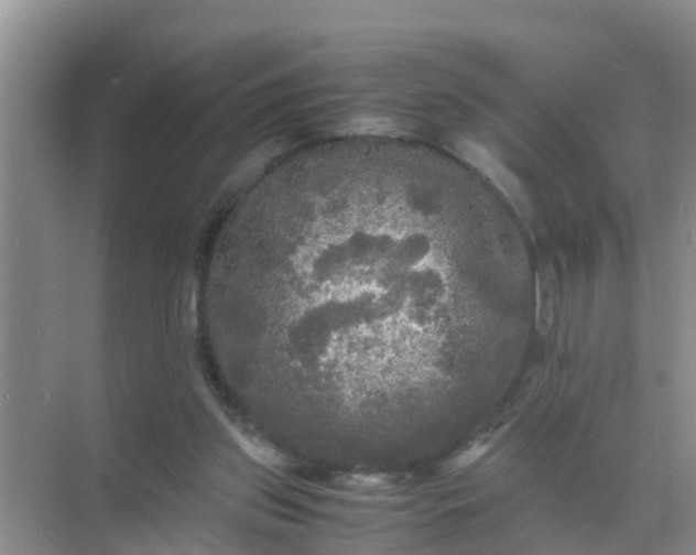 X0000071760157200607150011