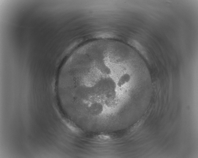 X0000071760159200607150011