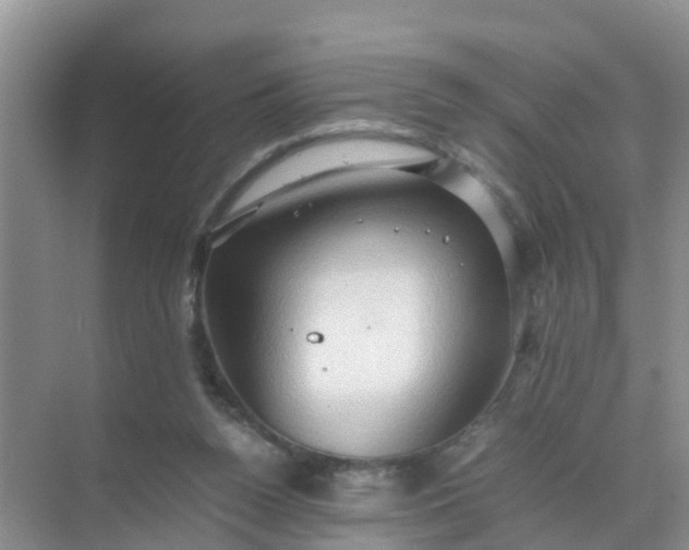 X0000071760160200607150011