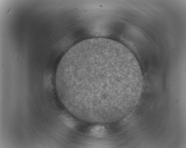 X0000071760162200607150011