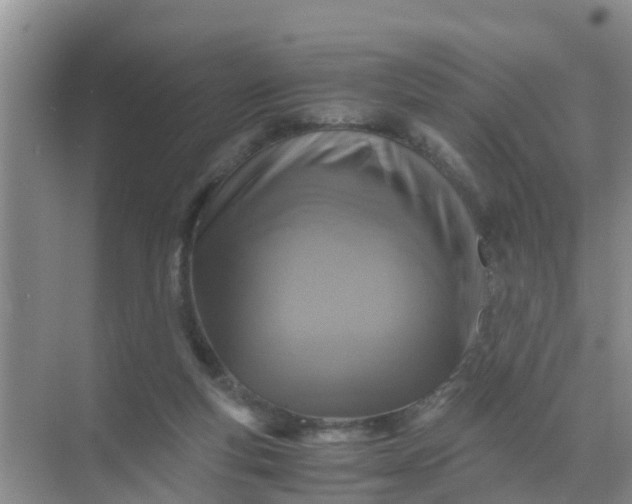 X0000071760163200607150011