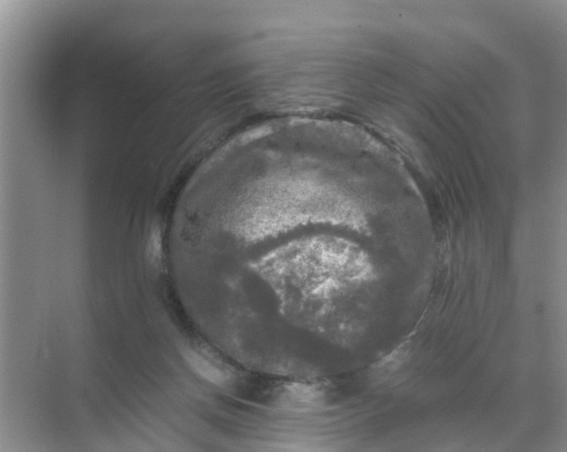 X0000071760166200607150011