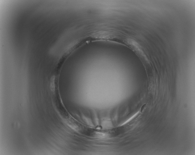 X0000071760167200607150011