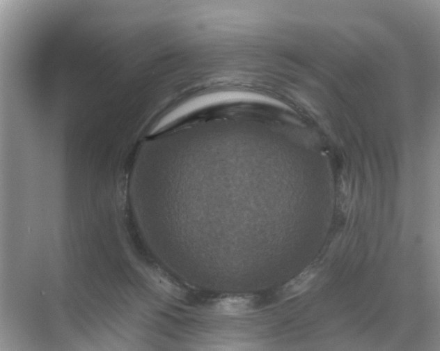 X0000071760168200607150011