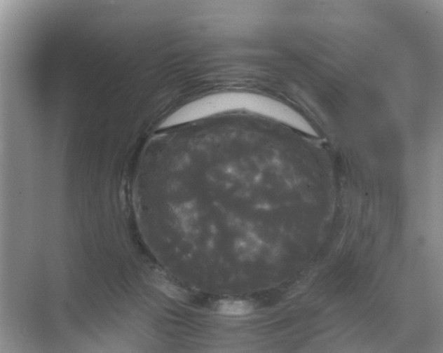 X0000071760169200607150011